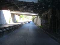 IMG_7582.jpg