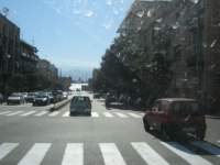 IMG_7595.jpg