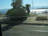 IMG_7605.jpg