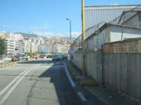 IMG_7615.jpg