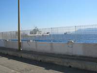IMG_7631.jpg