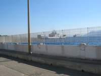 IMG_7632.jpg