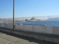 IMG_7633.jpg
