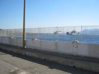 IMG_7634.jpg