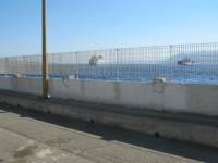 IMG_7635.jpg