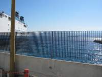 IMG_7646.jpg