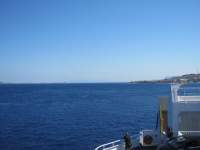 IMG_7667.jpg