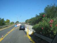 IMG_7720.jpg