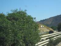 IMG_7732.jpg