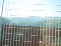 IMG_7785.jpg
