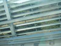IMG_7789.jpg
