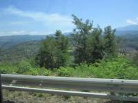 IMG_7798z_IMG_2896.JPG