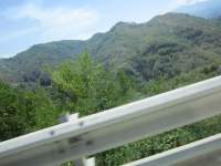 IMG_7798z_IMG_2904.JPG