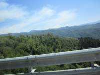 IMG_7798z_IMG_2912.JPG