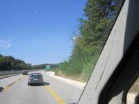 IMG_7804z_IMG_3078.JPG