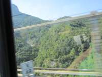 IMG_7804z_IMG_3145.JPG