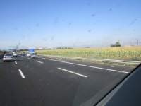IMG_7804z_IMG_3184.JPG