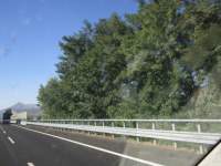 IMG_7804z_IMG_3194.JPG