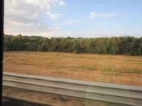 IMG_7804z_IMG_3239.JPG