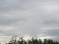 IMG_7809z_IMG_3344.JPG