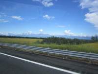IMG_7809z_IMG_3382.JPG