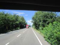 IMG_7809z_IMG_3421.JPG