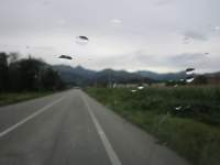 IMG_7826z_IMG_3499.JPG